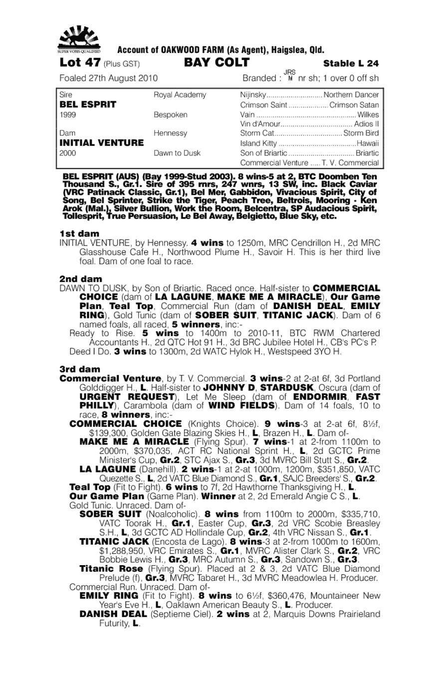 Ship's Captain - pedigree