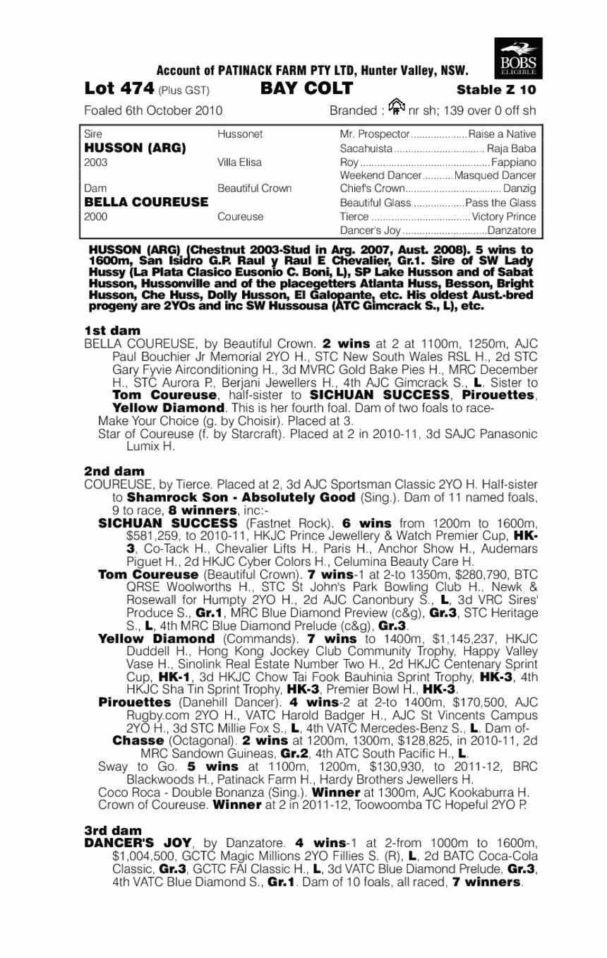 Wow Factor - pedigree