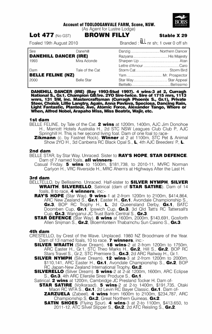 Blitzem Belle - pedigree