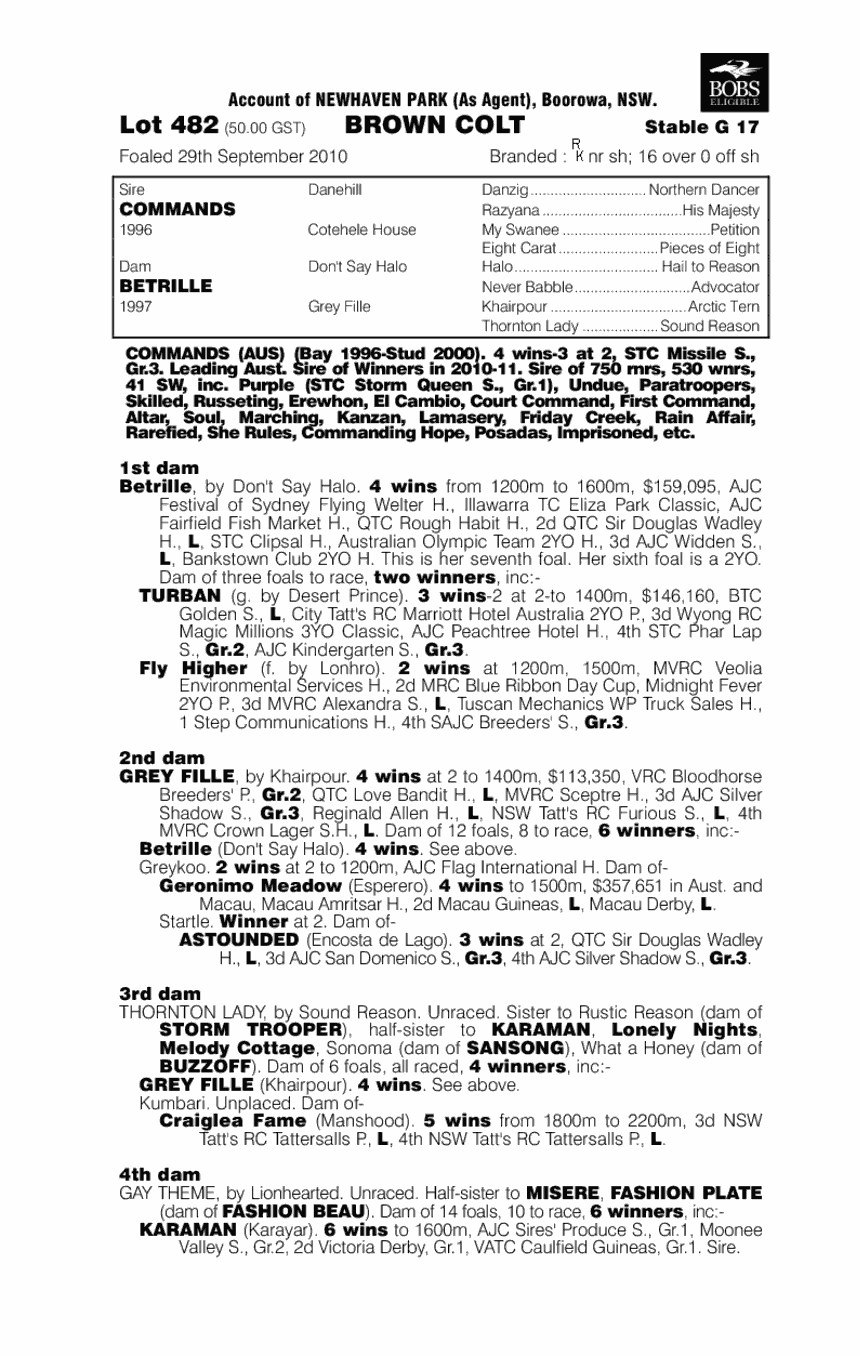 Commander Mak - pedigree