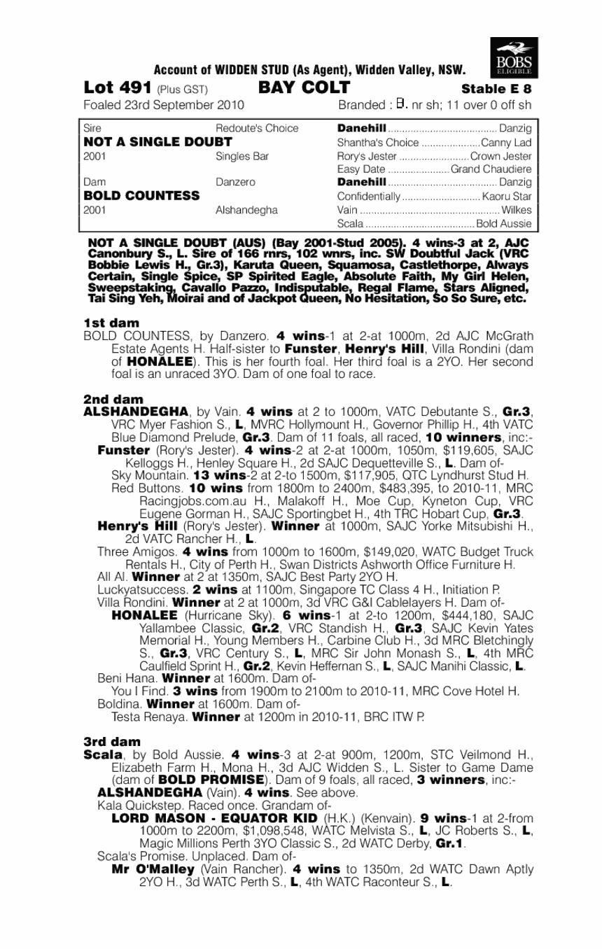 Positive Decision - pedigree