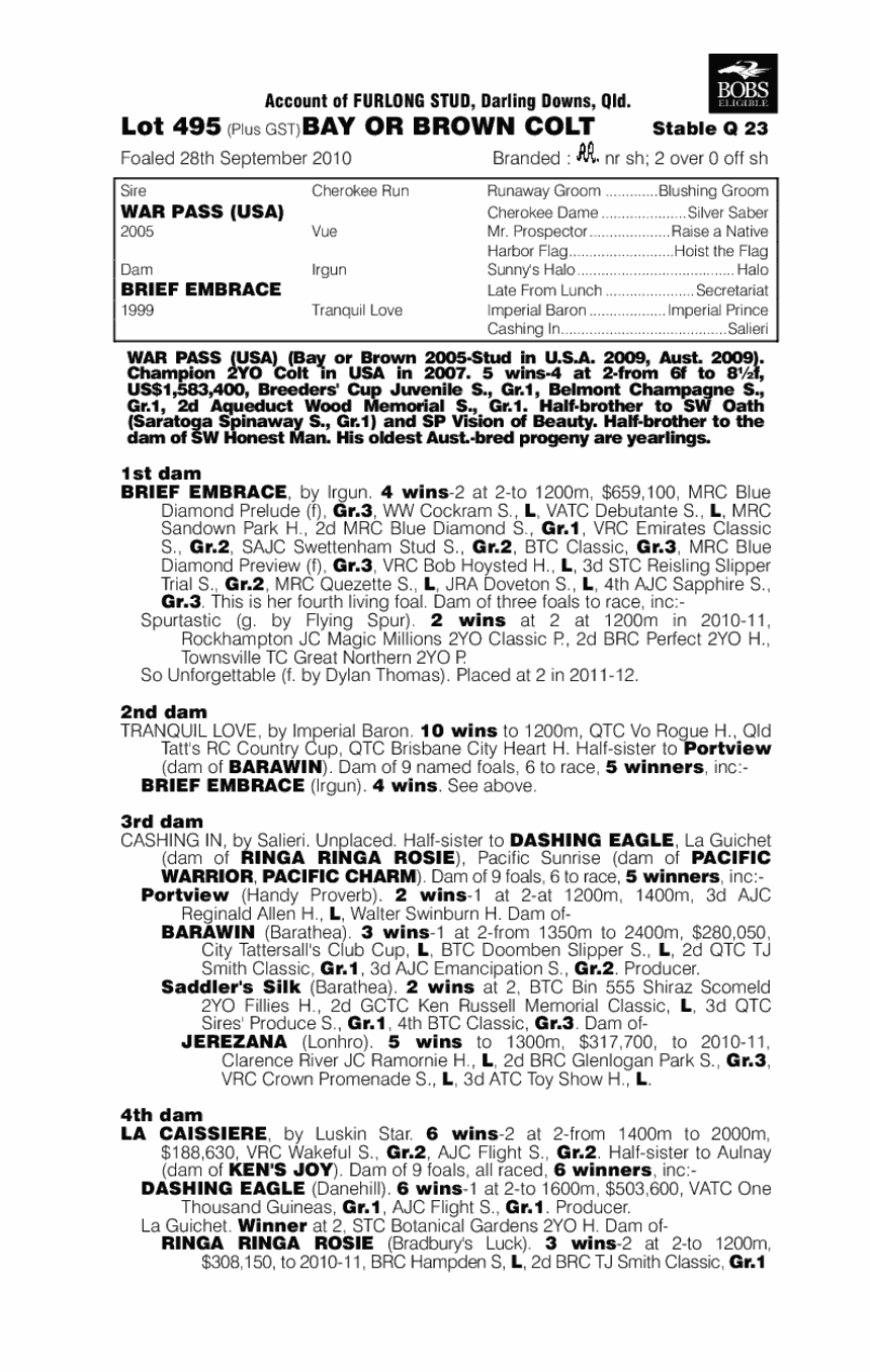 Gun Case (AUS) - pedigree