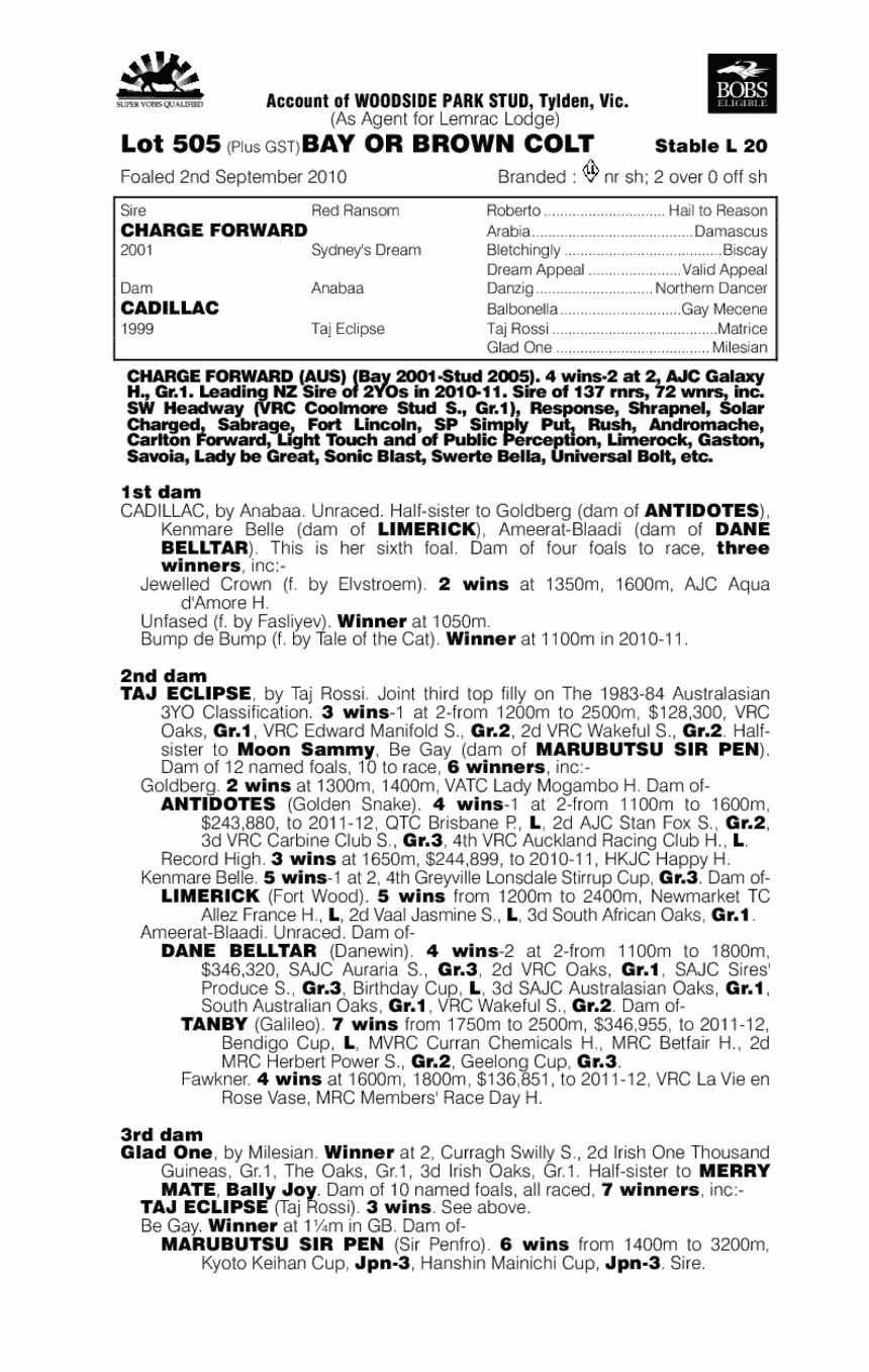 Limousine - pedigree