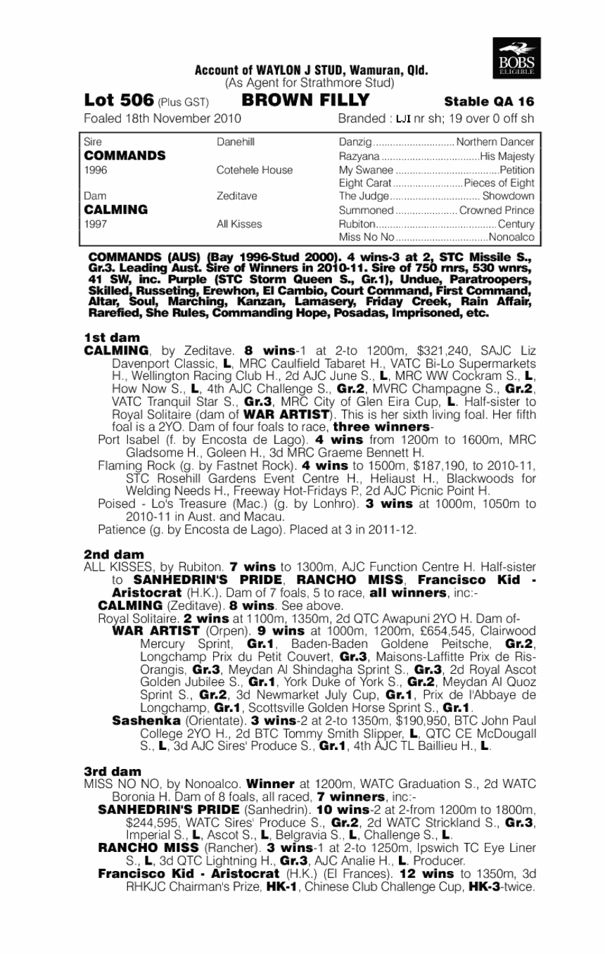 Calming Influence - pedigree