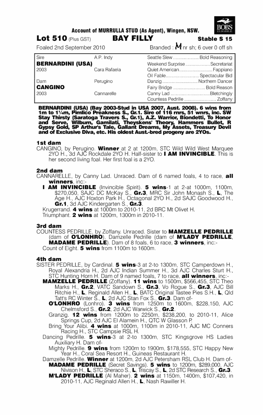 Dinicanbern (AUS) - pedigree