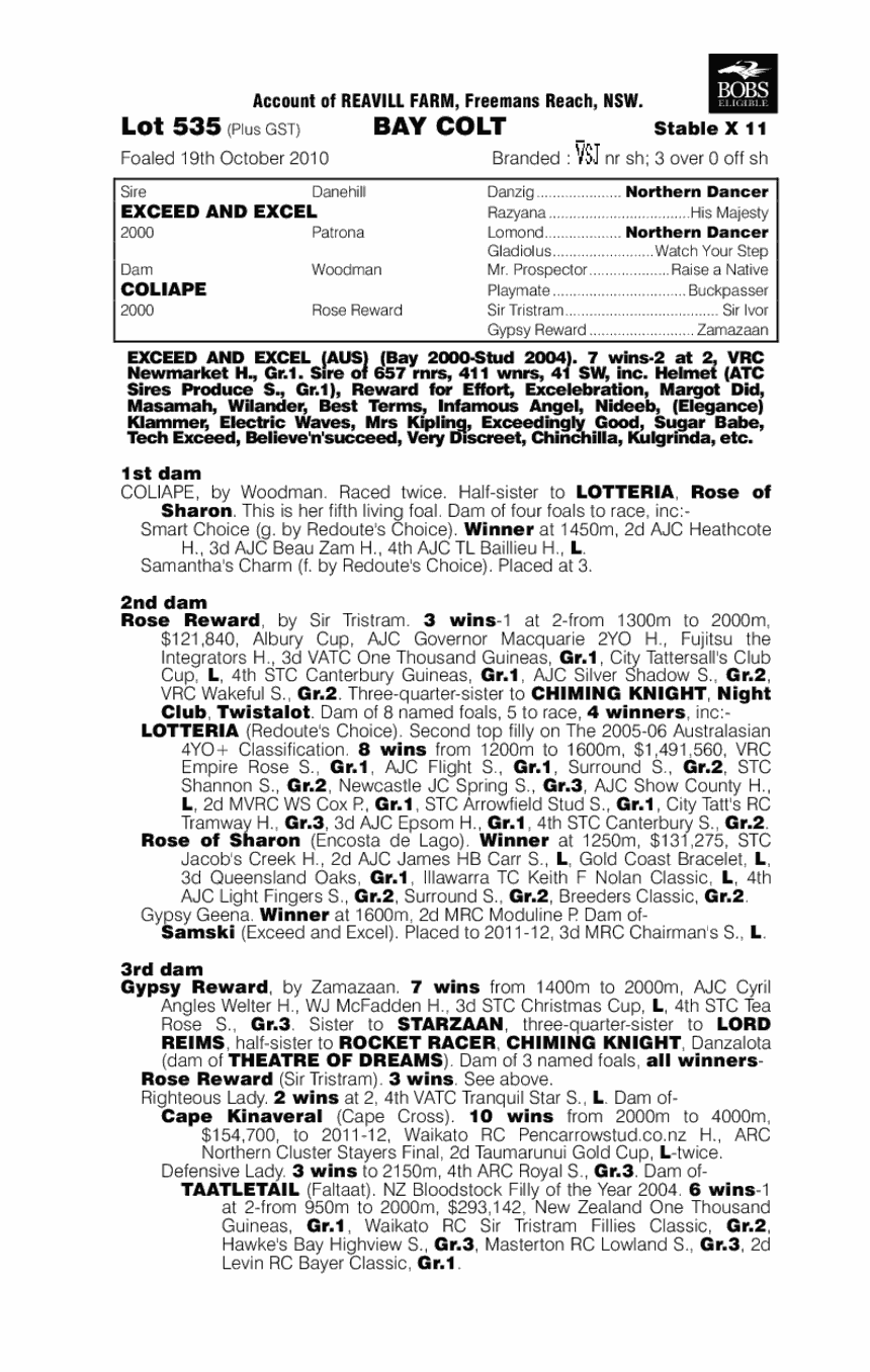 Ring King - pedigree