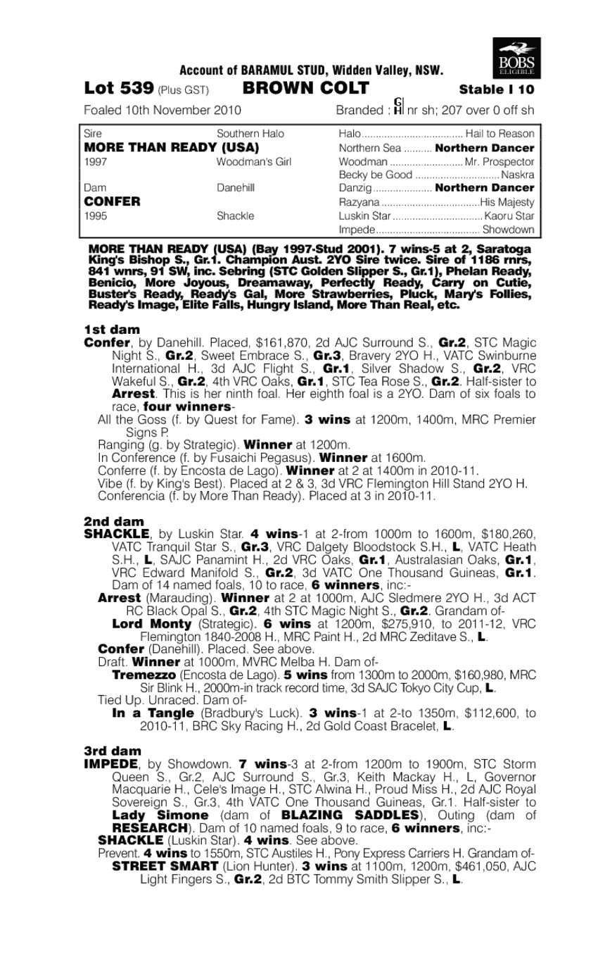 Nite Rocker - pedigree