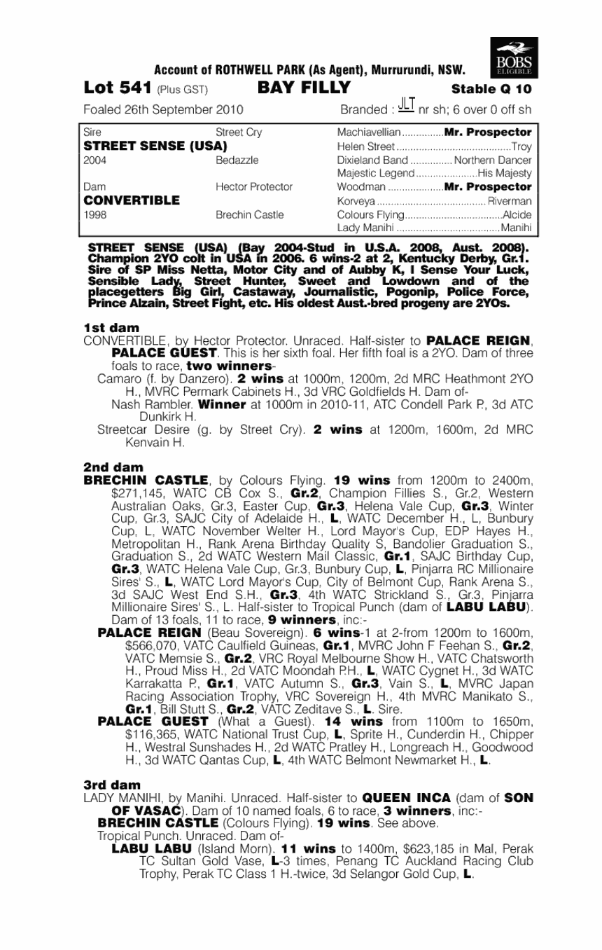 Lady Louboutin - pedigree