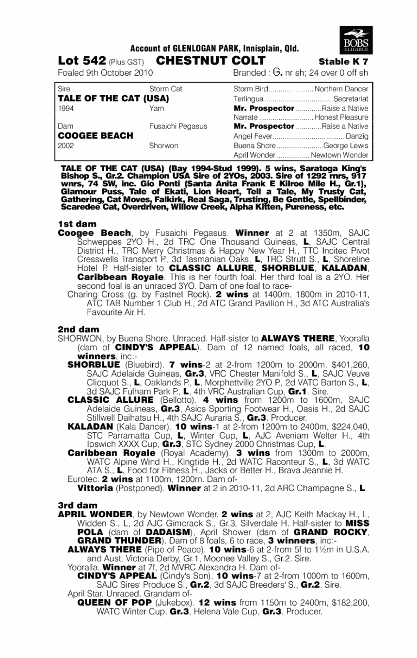 Flying Neko - pedigree