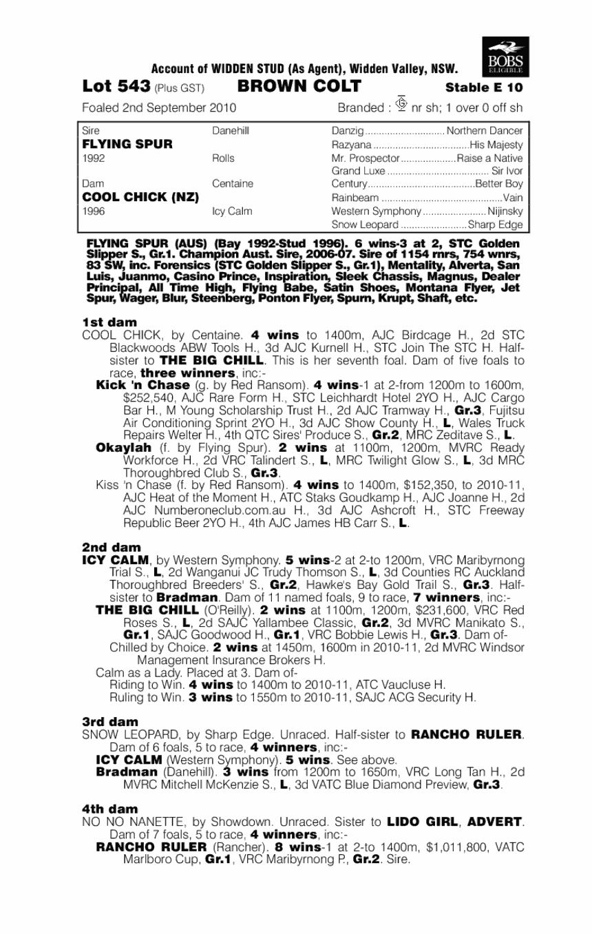 Round The Corner - pedigree