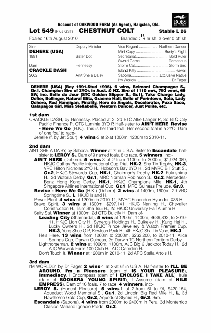 Fifth Chance - pedigree