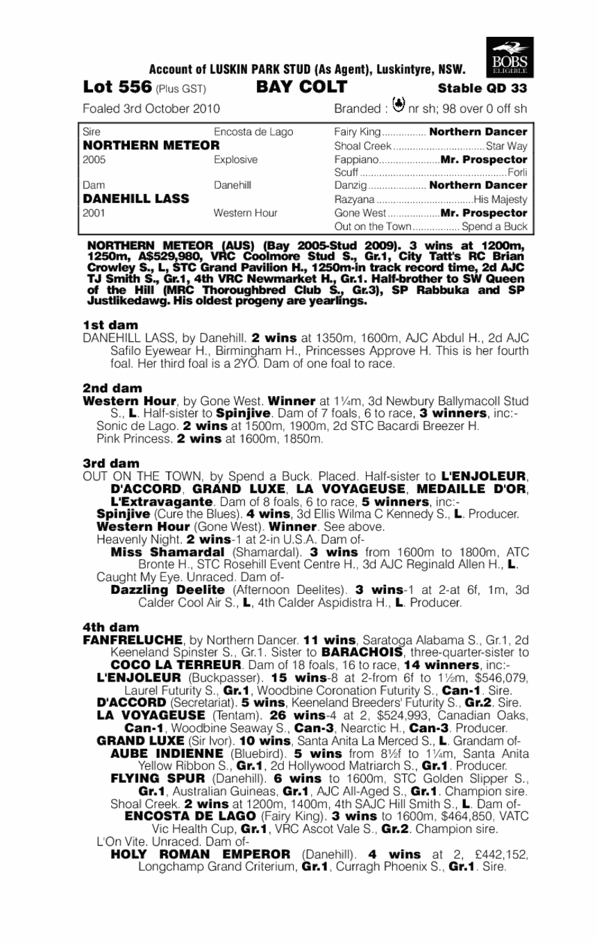 Rise 'N' Conquer - pedigree