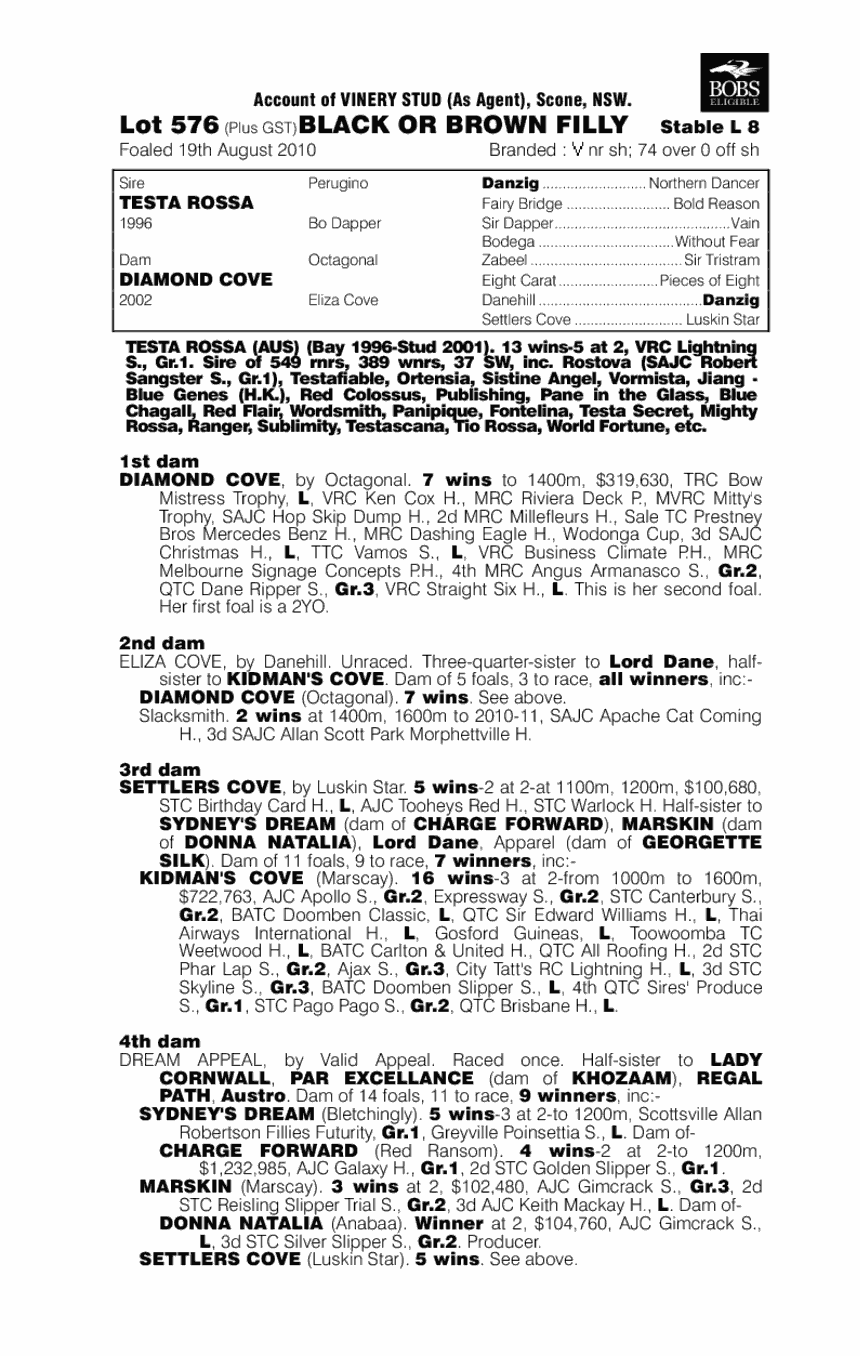 Il Diamante - pedigree