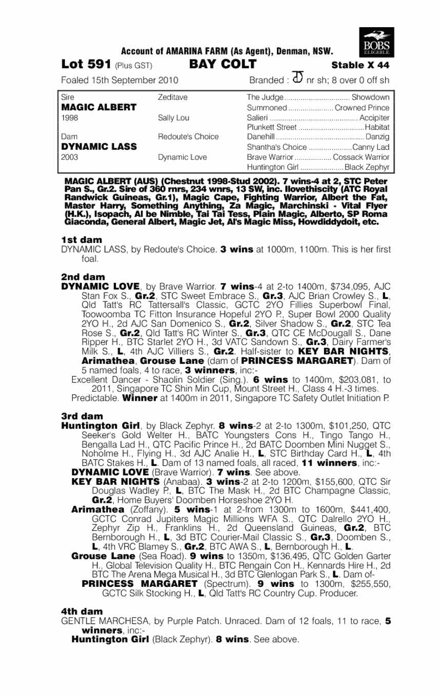 Dynamic Boy - pedigree