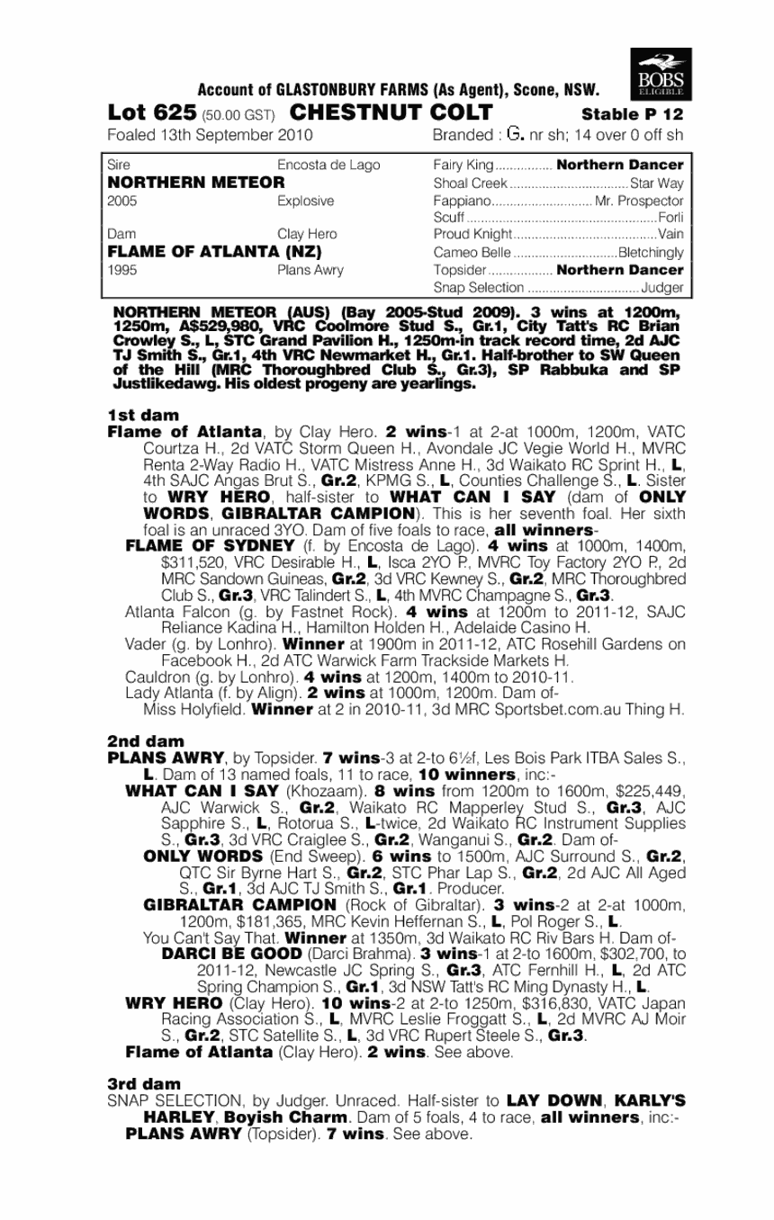 Rojo Grande (AUS) - pedigree