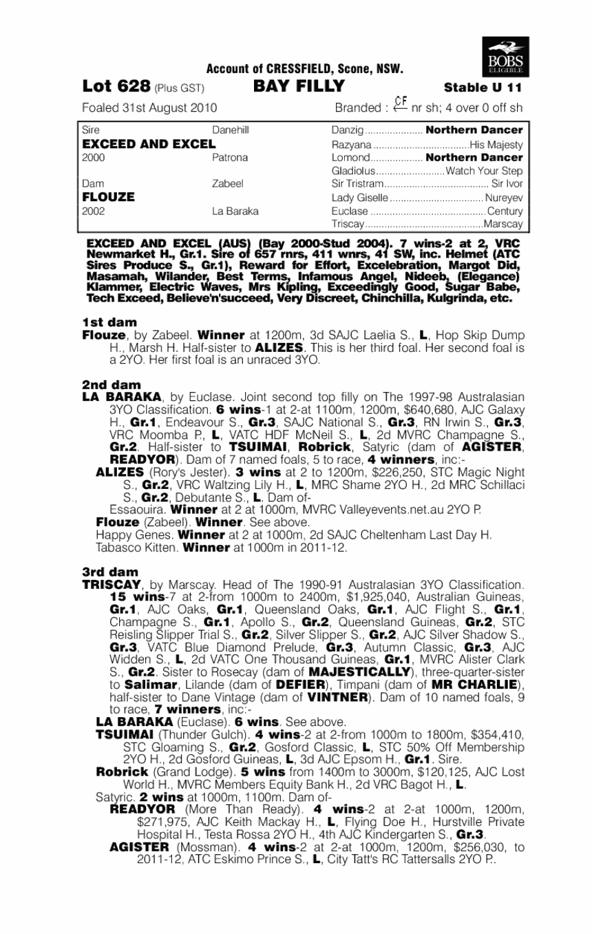 My Little Friend - pedigree