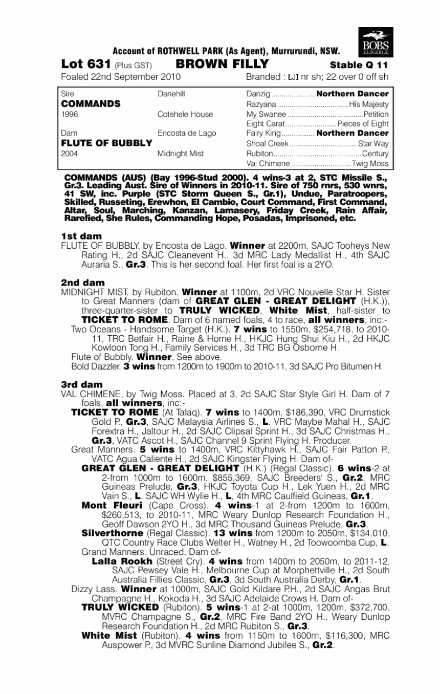 Our Cheerleader (AUS) - pedigree