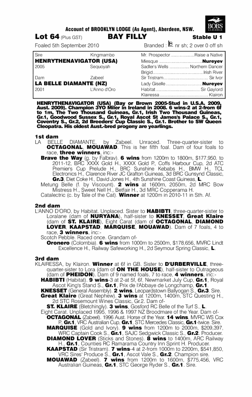 Brooklyn Miss - pedigree