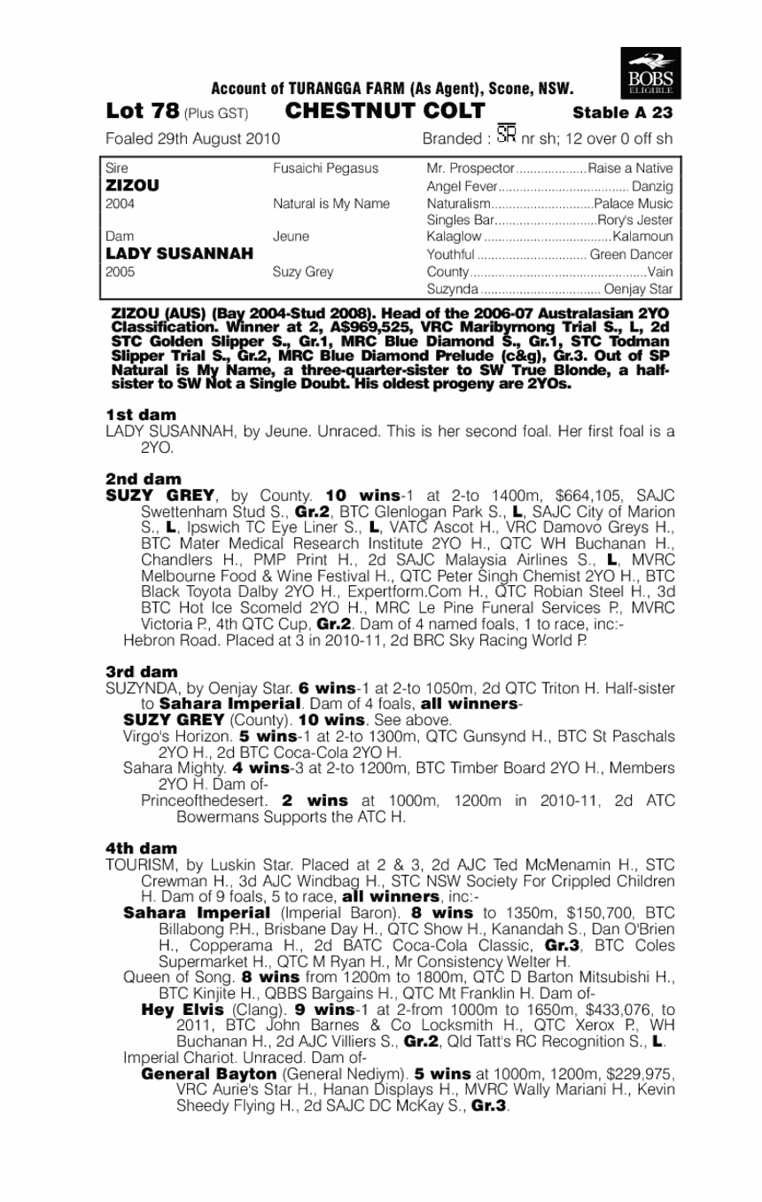 Our Zidane - pedigree