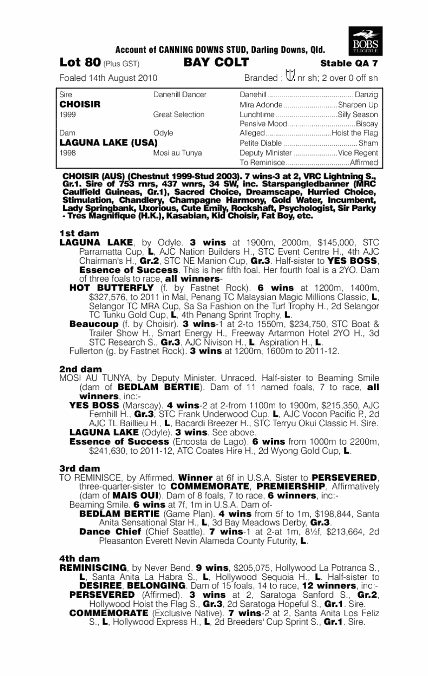 Braambilly - pedigree