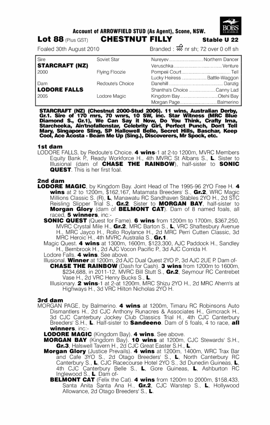 Star Of Lodore - pedigree