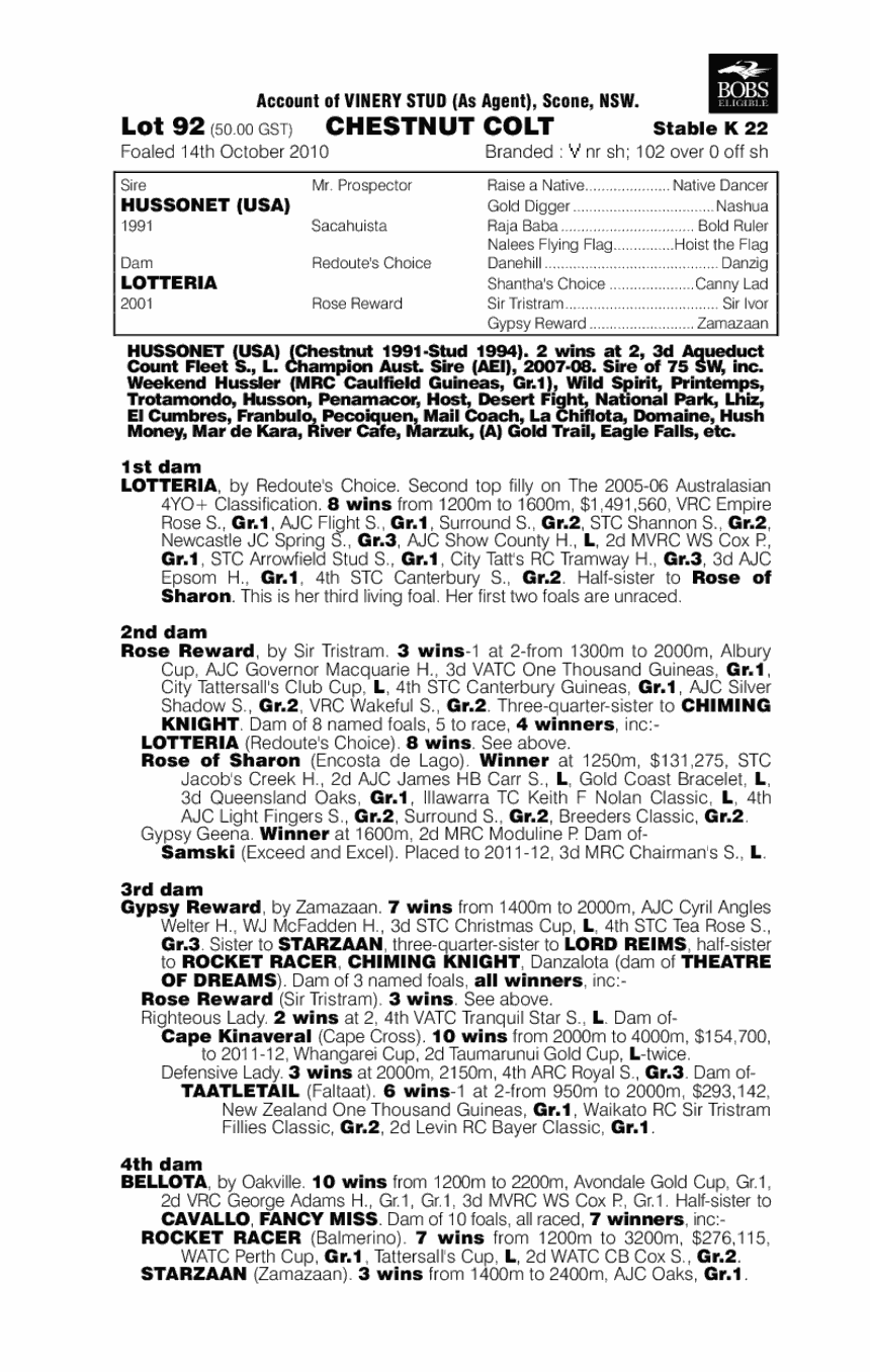 Lotte Bravo (AUS) - pedigree