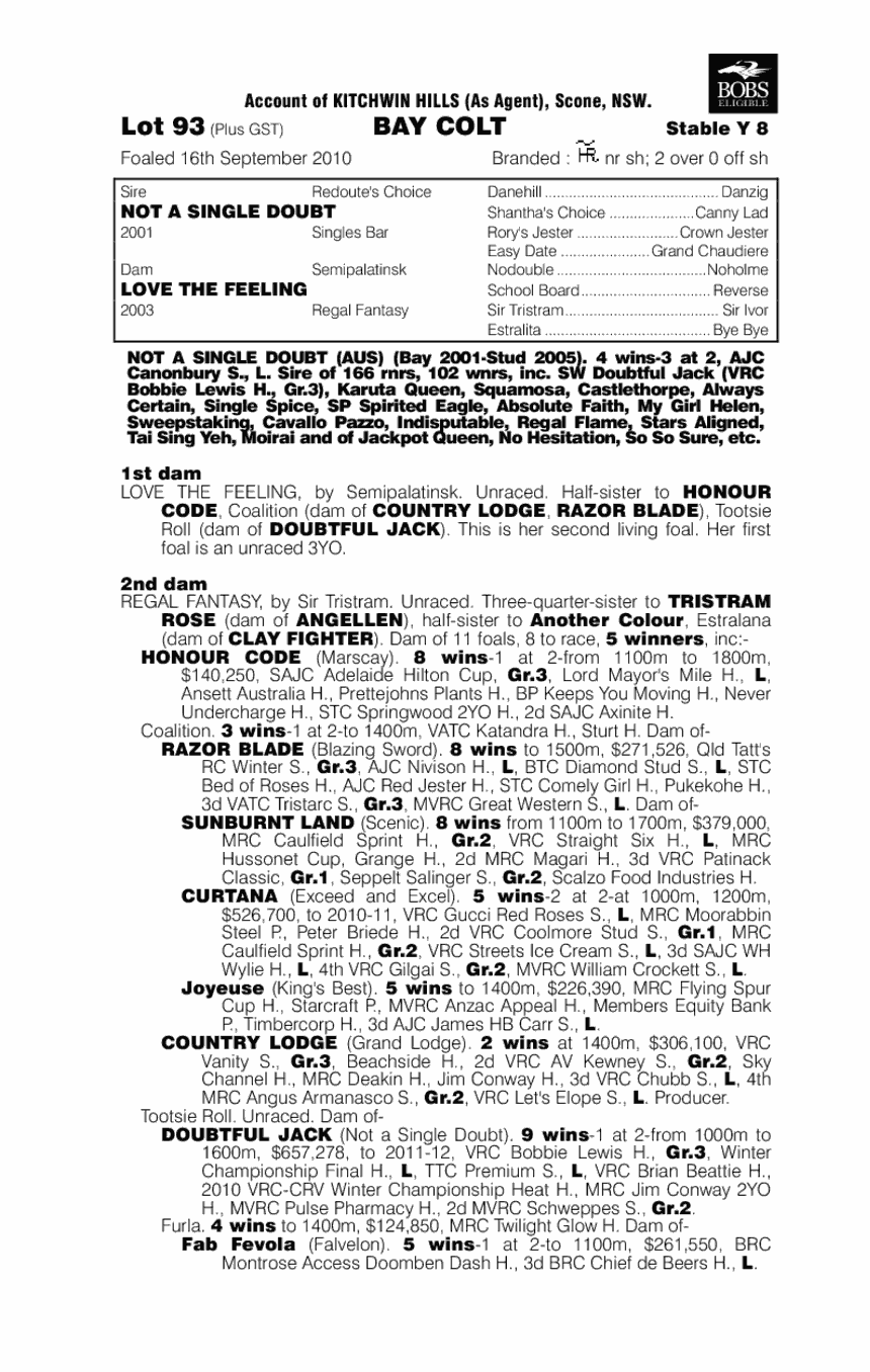 True Prince - pedigree