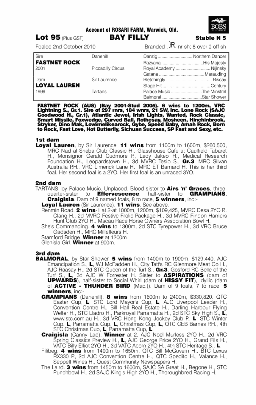Rock Me Fast (AUS) - pedigree