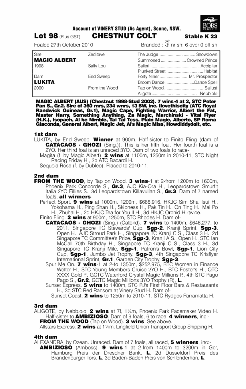 Albykita Magic - pedigree