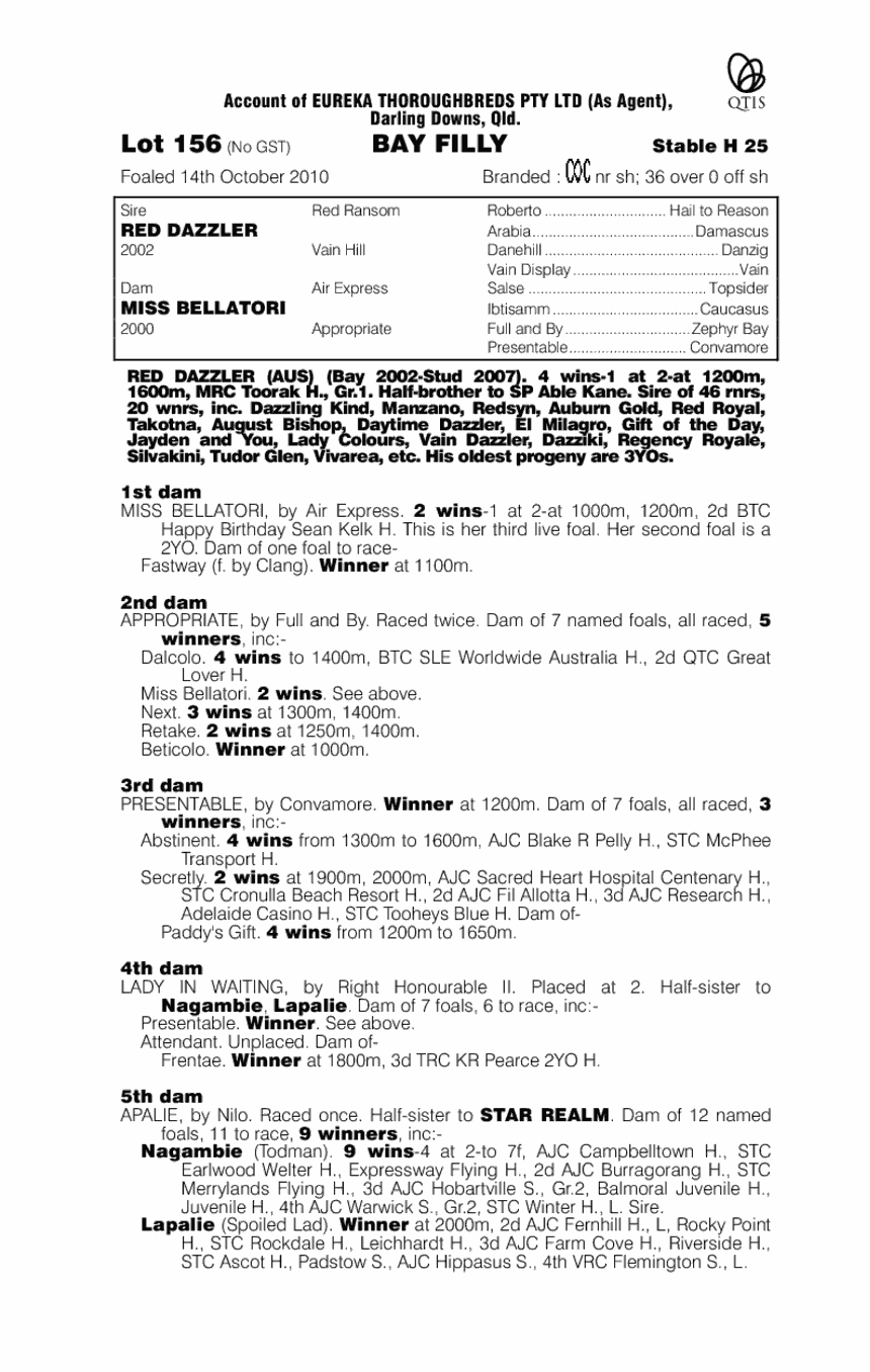 Witches Warrior - pedigree