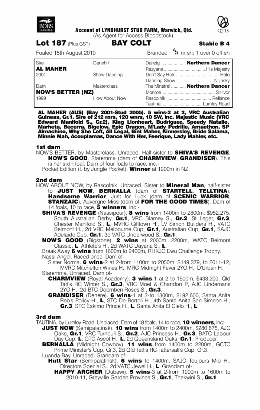 You Better Not - pedigree