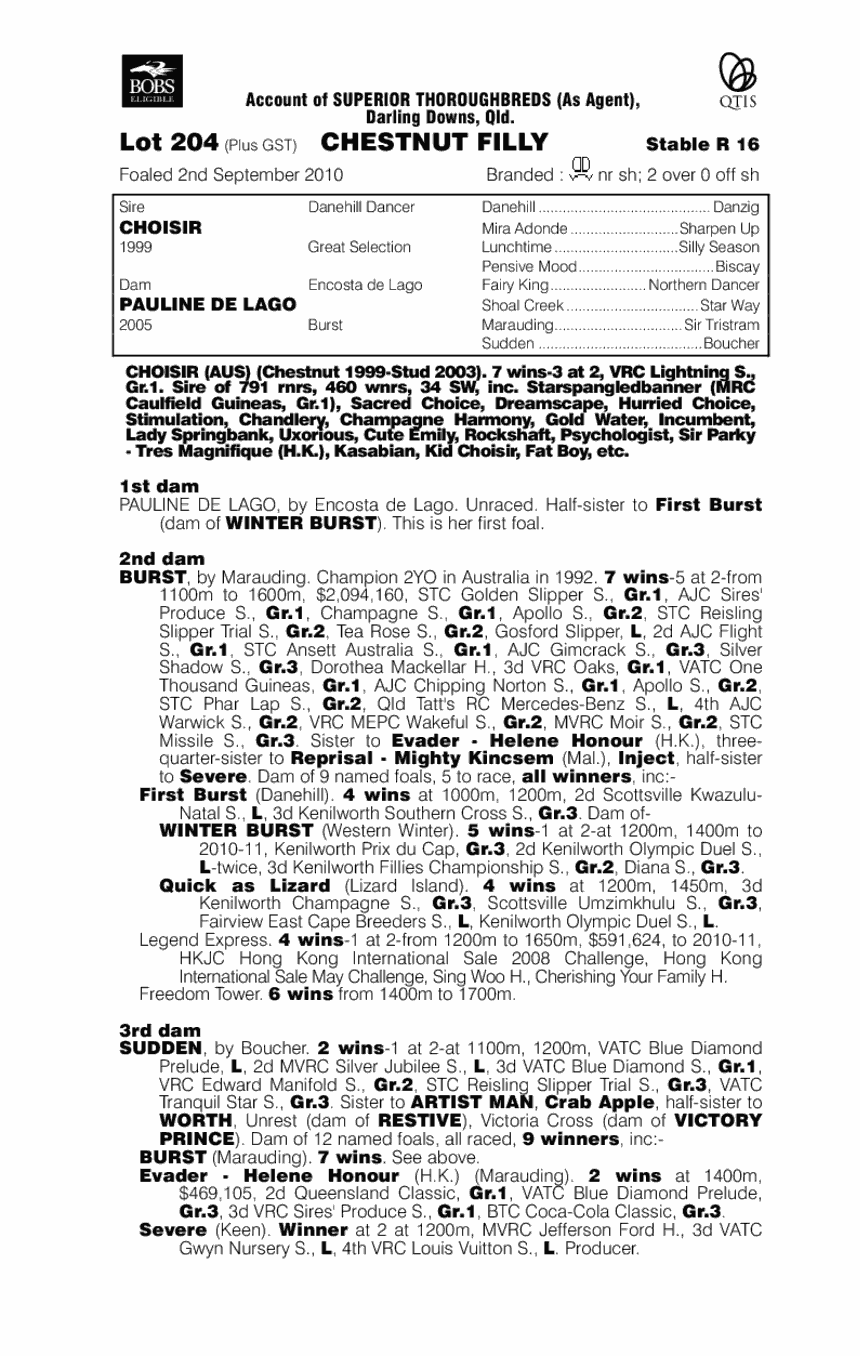 Ambers Choise - pedigree