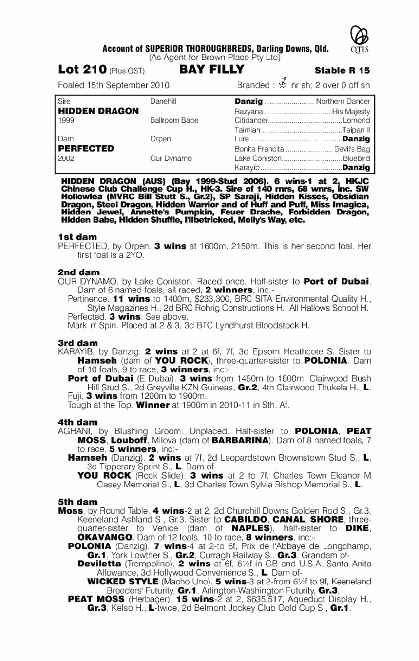 Perfect Dragon (AUS) - pedigree