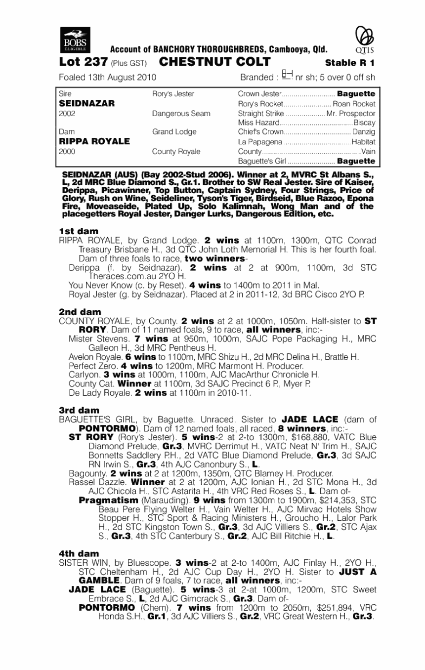 Jokes Aseide - pedigree