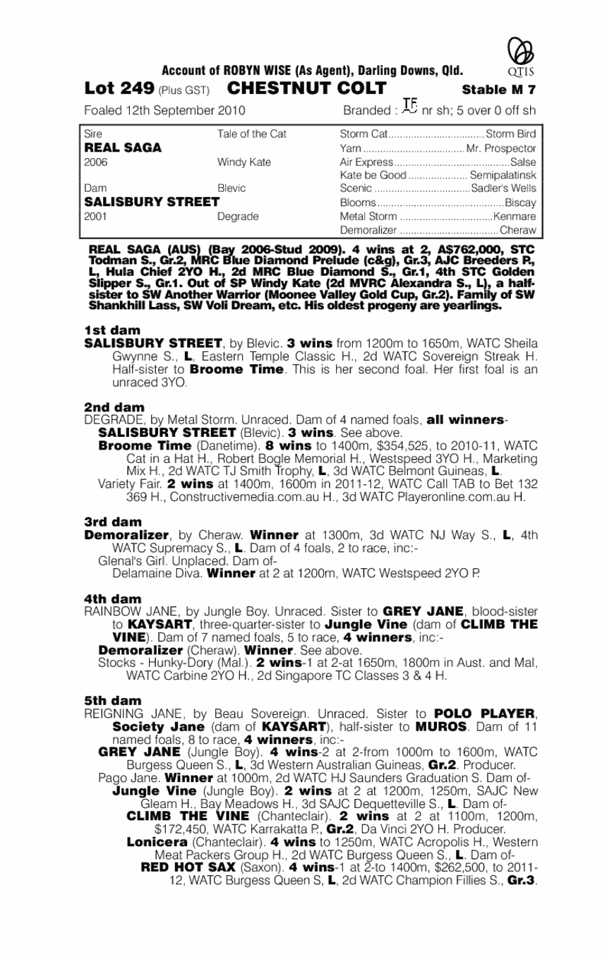 Real Saga (AUS) / Salisbury Street (AUS) - pedigree