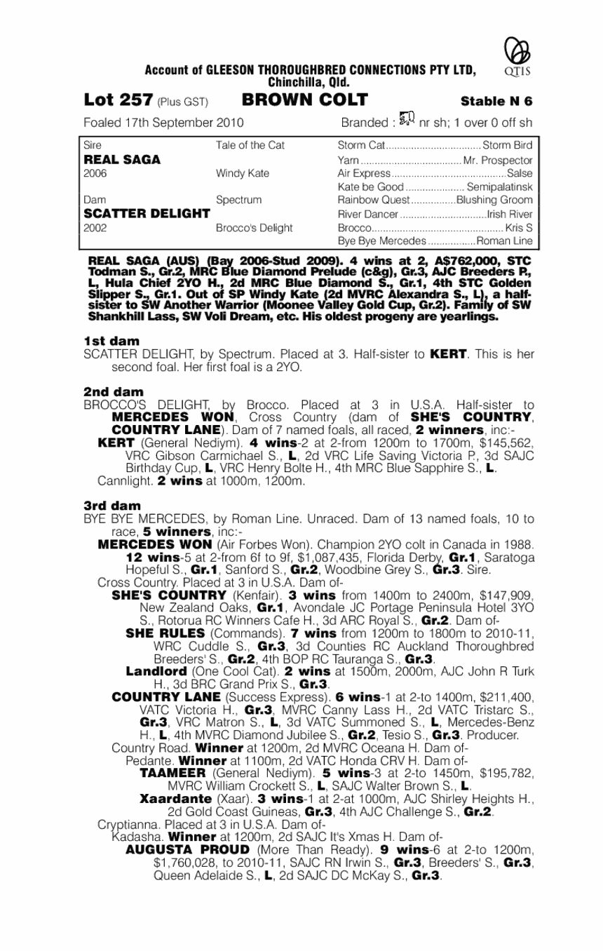 Son Of Saga - pedigree