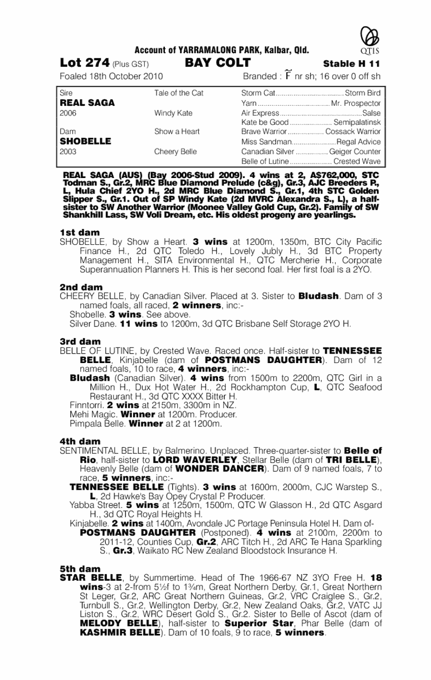 You Did What (AUS) - pedigree