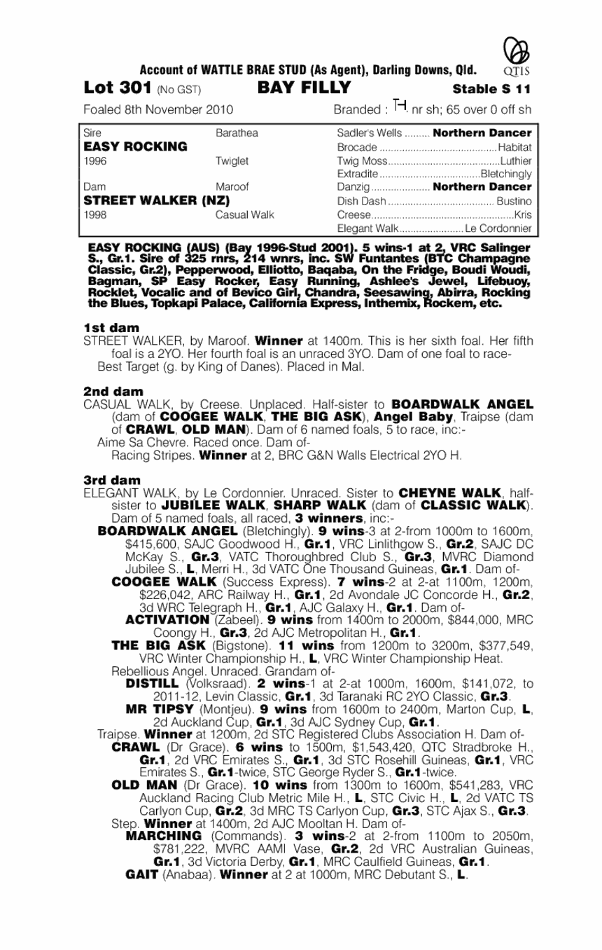 Rock The Street - pedigree