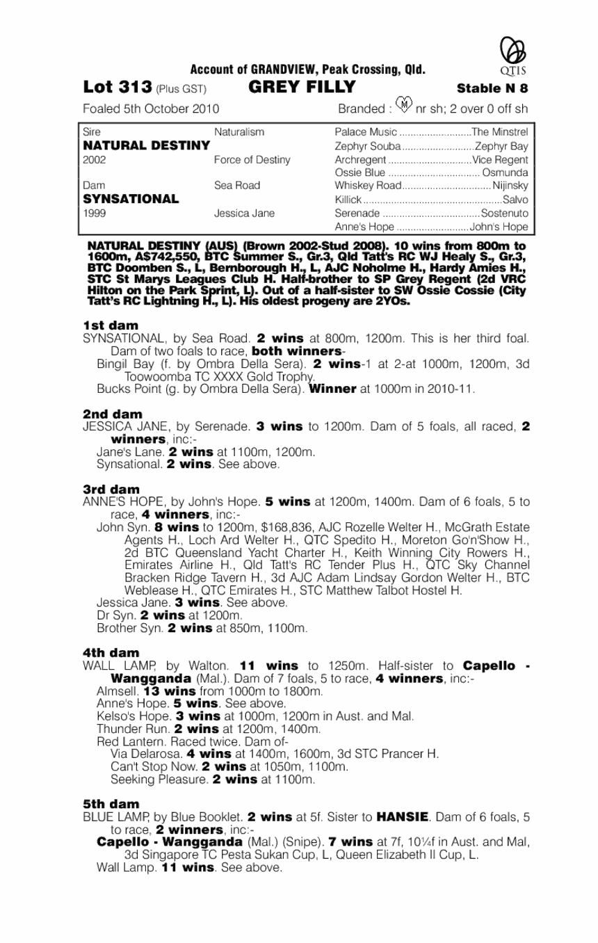 Amazing Fate (AUS) - pedigree