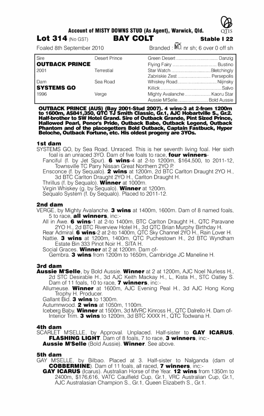 Vast Element - pedigree