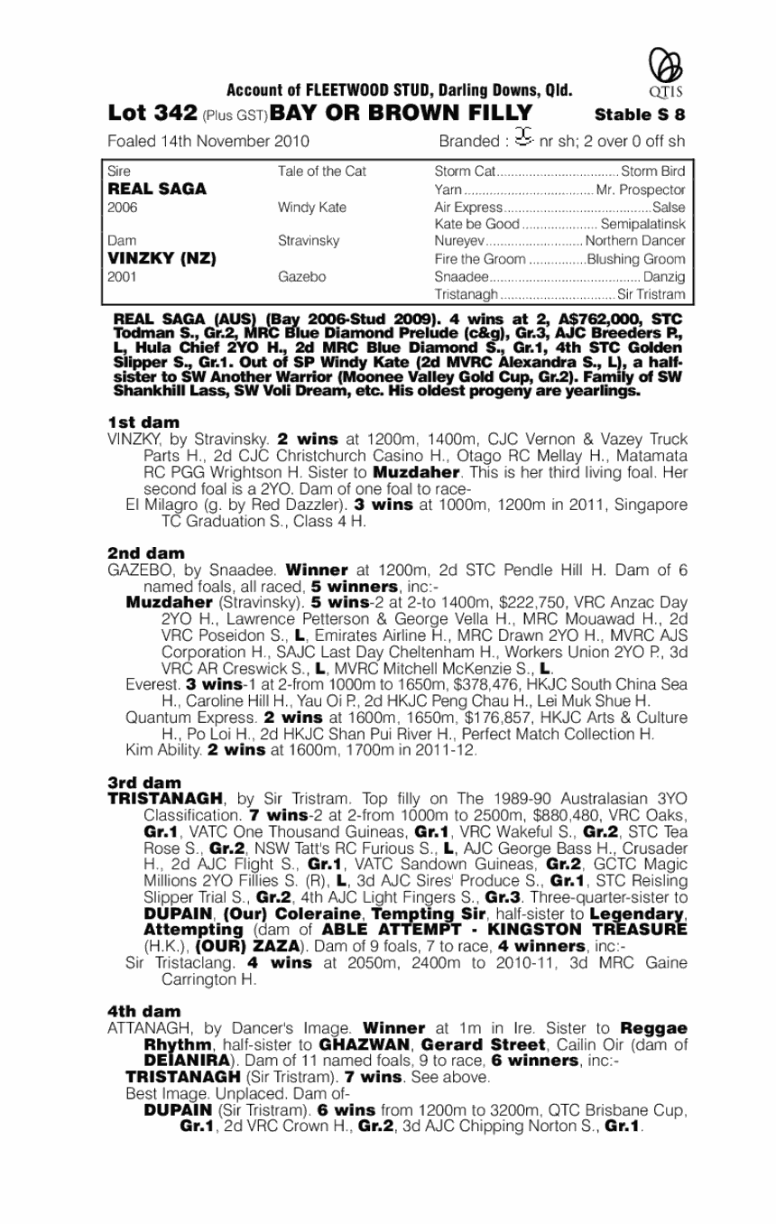 Senza Ragazzi - pedigree