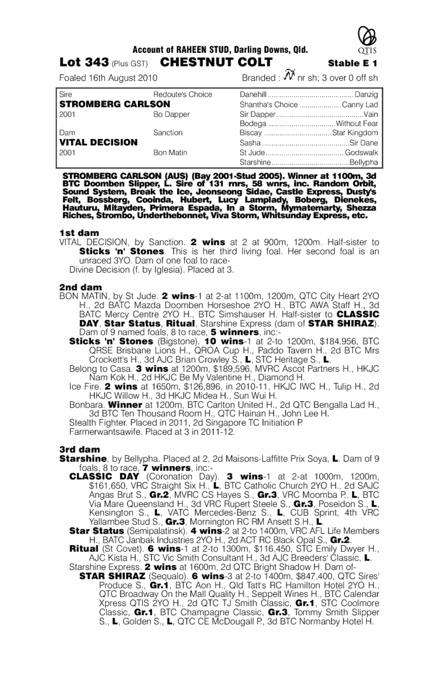 Save A Star - pedigree