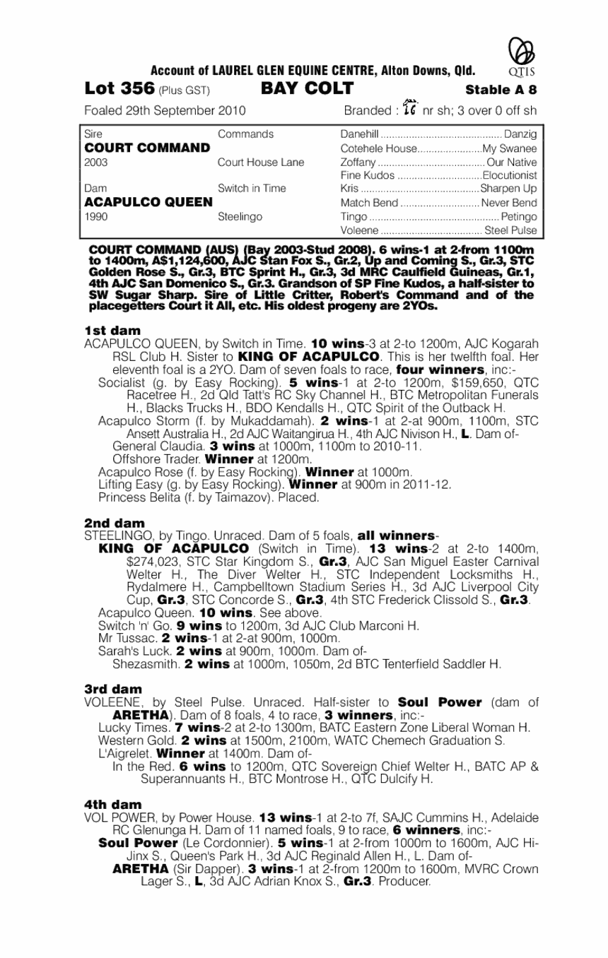 Courtman (AUS) - pedigree