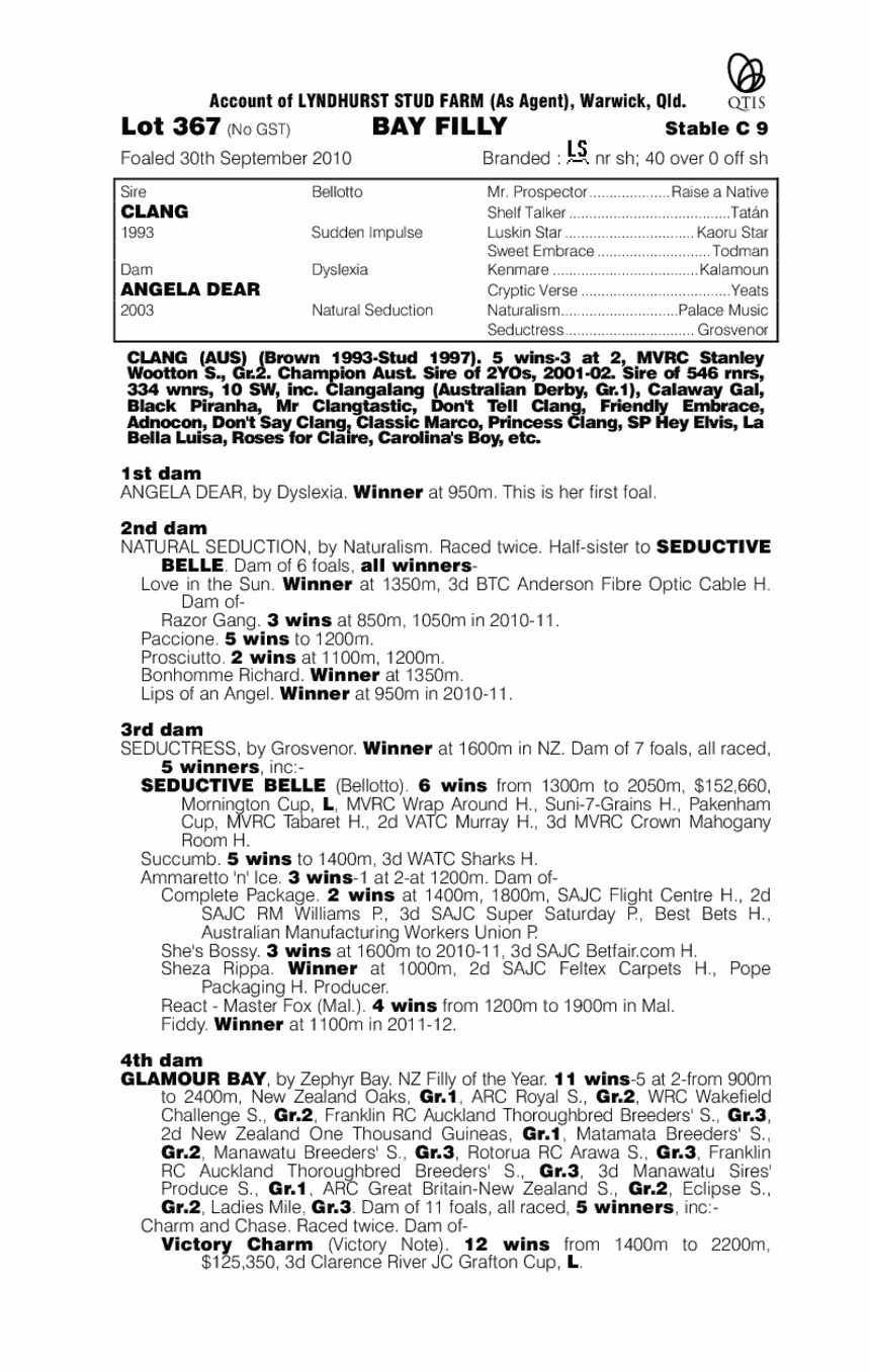 Belle I Am - pedigree