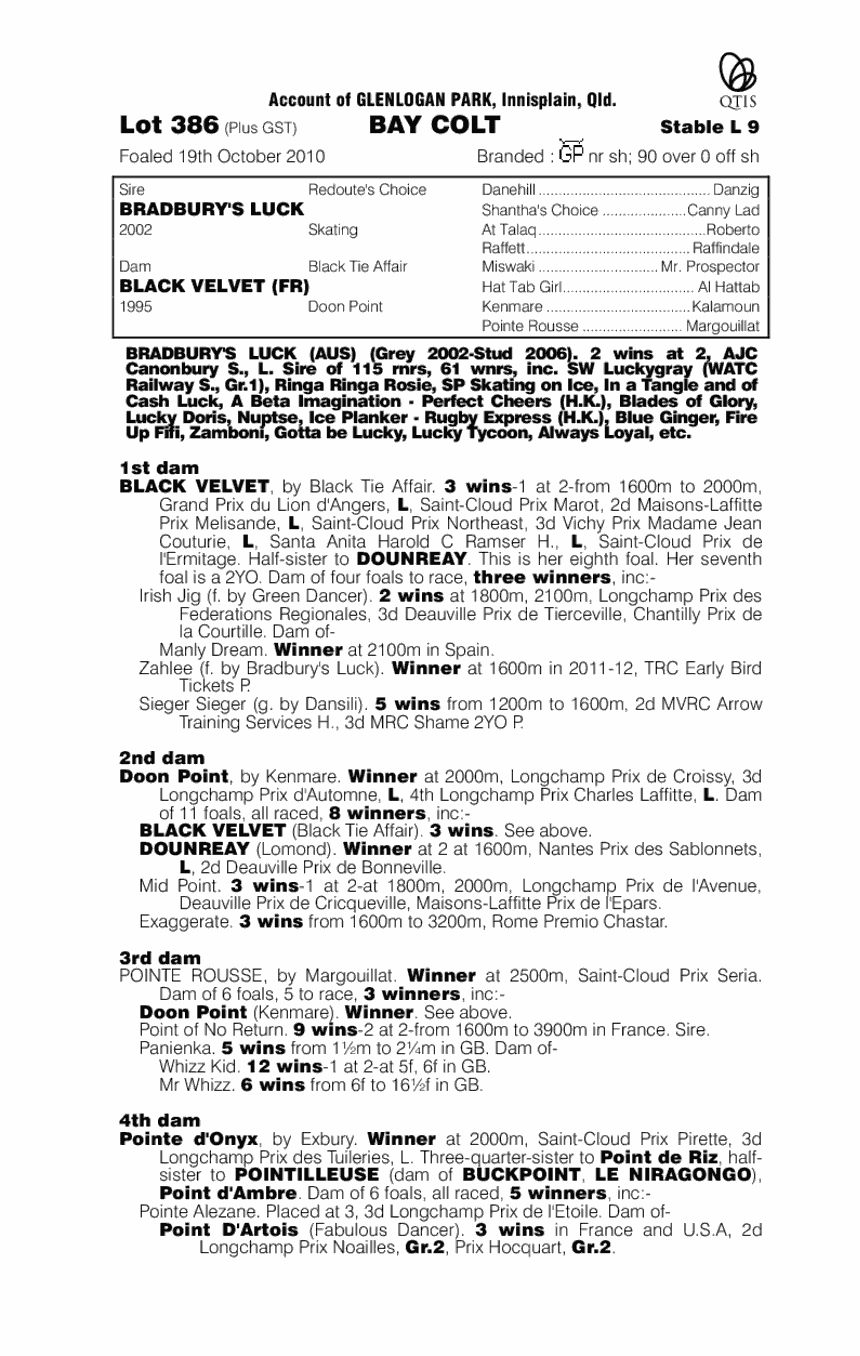 Bradbury's Luck (AUS) / Black Velvet (FR) - pedigree
