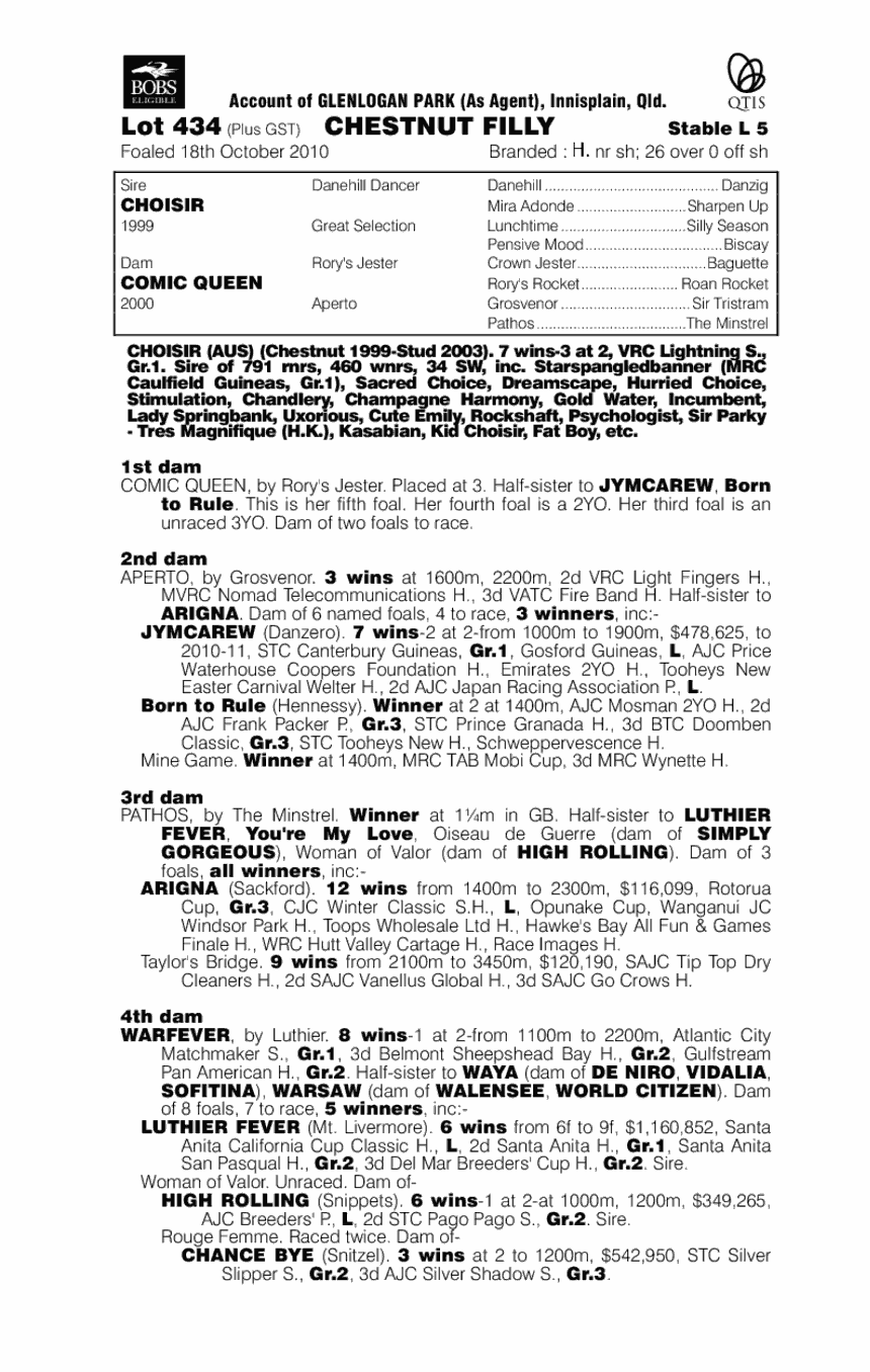 Tough Company - pedigree