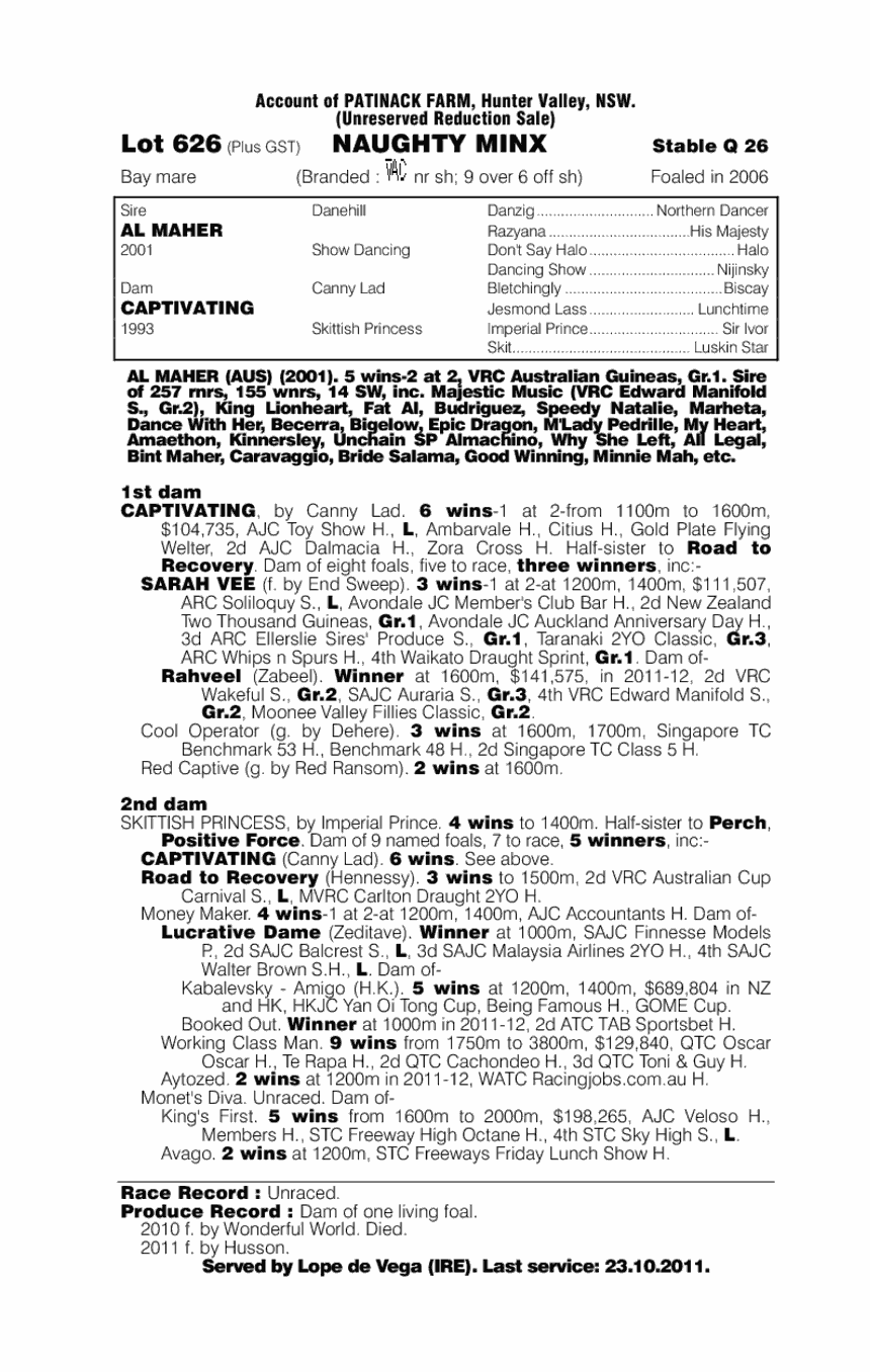 Naughty Minx - pedigree