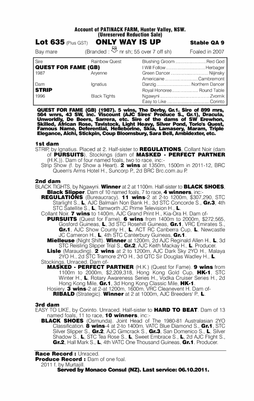 Only Way Is Up - pedigree