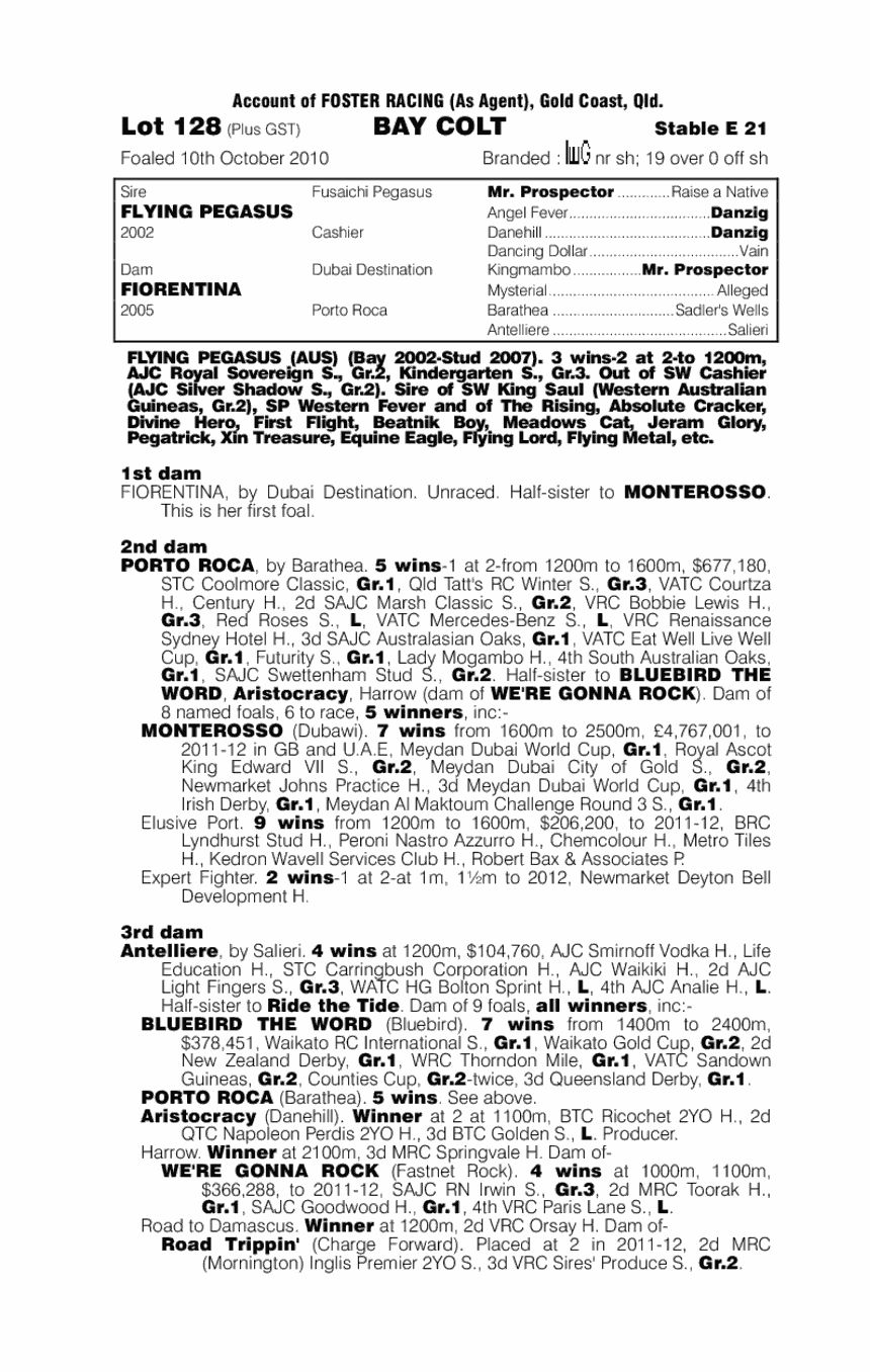 Flying Pegasus (AUS) / Fiorentina (AUS) - pedigree