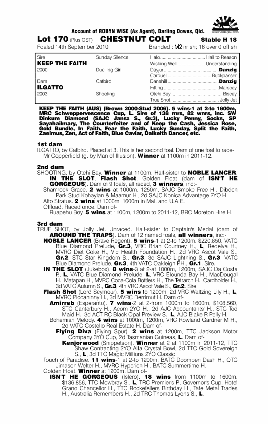 Ilgattino - pedigree